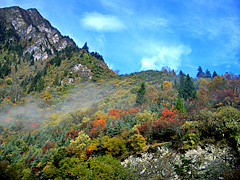 Bipenggou, Miyaluo,Sichuan