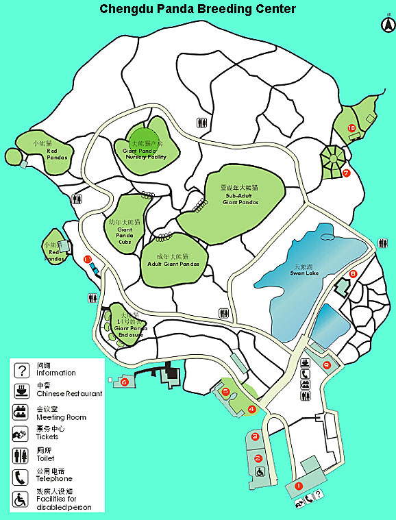Panda Breeding Center