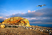 Qinghai lake
