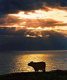 Sayram Lake Sunset